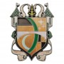 Dungeons & Dragons médaillon Silverymoon Insignia Limited Edition
