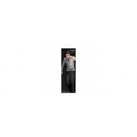 Attack on Titan wallscroll Slim Eren Jaegers 30 x 90 cm
