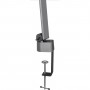 Hansa Lampe de bureau LED "Flow", avec pince, anthracite