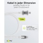 Câble Ethernet USB-C™ 3.1 vers RJ45, 1 mconnecte un routeur, modem ou switch réseau au port USB-C™ de l\'ordinateur portable, tablette ou smartphone