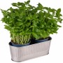 APS Corbeille couverts, acier inoxydable poli mat