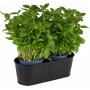APS Corbeille couverts, acier inoxydable, noir