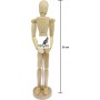 kangaro Mannequin articul, hauteur: 300 mm, neutre
