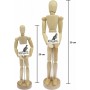 kangaro Mannequin articul, hauteur: 300 mm, neutre