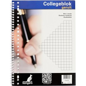 kangaro Cahier, A4, quadrill, 160 pages