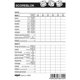 Expres Scoreblok voor yahtzee, 105 x 148 mm, 100 vel