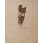 Clairefontaine Carnet de dessin FLYING SPIRIT, A5