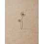 Clairefontaine Carnet de dessin FLYING SPIRIT, A5