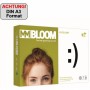 BLOOM Papier multifonction EXCELLENT, A3, 80 g/m2, blanc