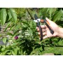 Garten PRIMUS Ressort de rechange pour scateur pour homme