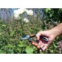 Garten PRIMUS Ressort de rechange pour scateur pour homme