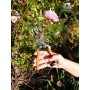 Garten PRIMUS Ressort de rechange pour scateur spcial rose