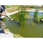 Garten PRIMUS Ressort de rechange pour coupe-branches