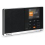 TechniSat Digitradio 215 NDR 1 Dabbi Edition schwarz/silber