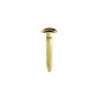 kangaro Attache parisienne tte ronde, cuivr, 19 mm
