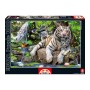 EDUCA BORRAS - Educa - 14808 - Puzzle Classique - Tigres Blancs du Bengale
