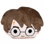 PLAY BY PLAY - Coussin Harry Potter 