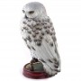NOBLE COLLECTION - Harry Potter Hedwig figure 