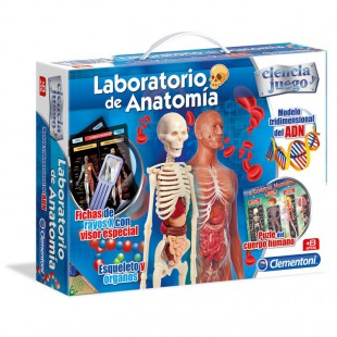 CLEMENTONI - Laboratoire d'anatomie 