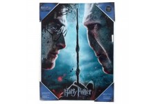 SD TOYS - Harry Potter vs Voldemort affiche en verre 