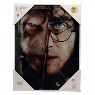 SD TOYS - Harry Potter et Voldemort affiche en verre 