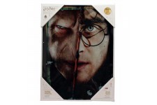 SD TOYS - Harry Potter et Voldemort affiche en verre 