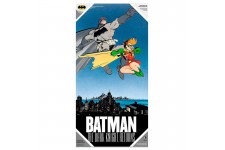 SD TOYS - Affiche en verre de DC Comics Batman et Robin 