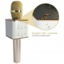 Alpexe Microphone sans fil portable Bluetooth KTV Micro haut-parleur USB doré