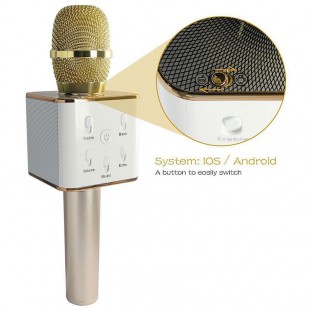 Alpexe Microphone sans fil haut-parleur karaoké Bluetooth doré