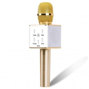 Alpexe Microphone Karaoké doré Sans Fil Portatif, Mini Haut-parleur Bluetooth Intégré Pour Téléphone Portable
