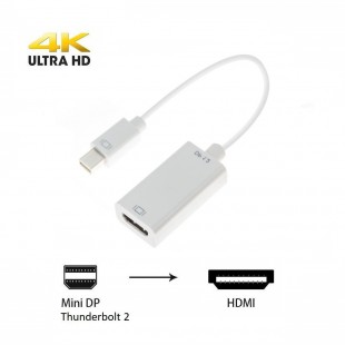 Alpexe Mini DisplayPort HDMI Adaptateur Thunderbolt vers HDMI Câble HDTV pour MacBook Air, iMac, Mac Mini, Microsoft Surface Pro