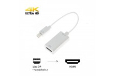 Alpexe Mini DisplayPort HDMI Adaptateur Thunderbolt vers HDMI Câble HDTV pour MacBook Air, iMac, Mac Mini, Microsoft Surface Pro