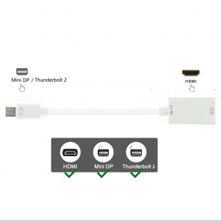 Alpexe Mini DisplayPort (Thunderbolt 2) vers Adaptateur HDMI support 4K 