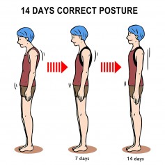 Alpexe Correcteur de Posture Dos Épaules, Lavable et Ajustable Posture pour Soulager Les Douleurs Dorsales Taille L (Buste : 96-