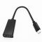 Alpexe USB Type C Mâle vers HDMI 4 K Adaptateur Femelle