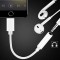 Alpexe Prise Jack pour Casque Adaptateur, connecteur 3,5 mm vers câble Audio AUX pour iPhone/iPad/iPod, Prise en Charge Ios12 