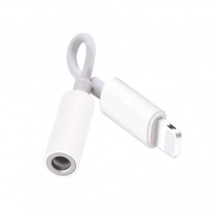Alpexe Adaptateur Prise Jack pour Casque pour iPhone X connecteur 3,5 mm AUX écouteurs pour iPhone XS/XS Max/XR/8/8 Plus /7/7 Pl