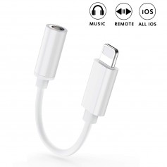Alpexe Prise Jack pour Casque Adaptateur, connecteur 3,5 mm pour iPhone/iPad/iPod, Prise en Charge Ios12
