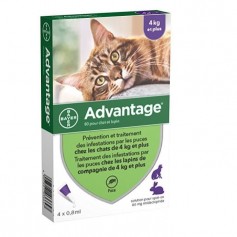 ADVANTAGE 80 - 4 pipettes antiparasitaires - Pour chat et lapin de 4kg et plus