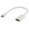 Adaptateur mini DisplayPort vers HDMI