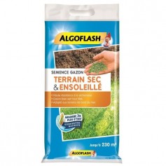ALGOFLASH Semences gazon terrain sec et ensoleillé - 5 Kg