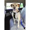 ANIMALS&CAR Harnais de sécurité réglable pour chien