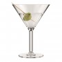 BODUM - OKTETT - 4 Verres a Martini en plastique - Incassable - Réutilisable - 0.18l