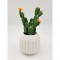 Cactus fleuri dans son contenant Scandinave - H 16 cm - Blanc