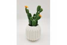 Cactus fleuri dans son contenant Scandinave - H 16 cm - Blanc