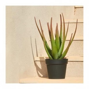 CATRAL Cactus artificiel Aloe - 81 cm