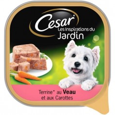 CESAR Barquette en terrine au veau et aux carottes - Pour chien adulte - 300 g