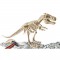CLEMENTONI Archéo Ludic - Le Squelette Géant du T-Rex - Science & Jeu