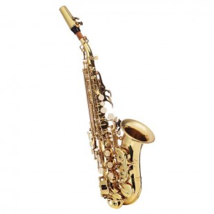 DELSON Saxophone soprano courbe