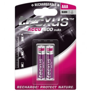 AAA 600mAh NIMH 2-BL tecxus